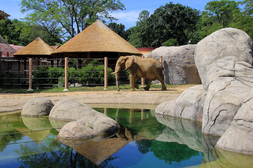 Cleveland Metroparks Zoo