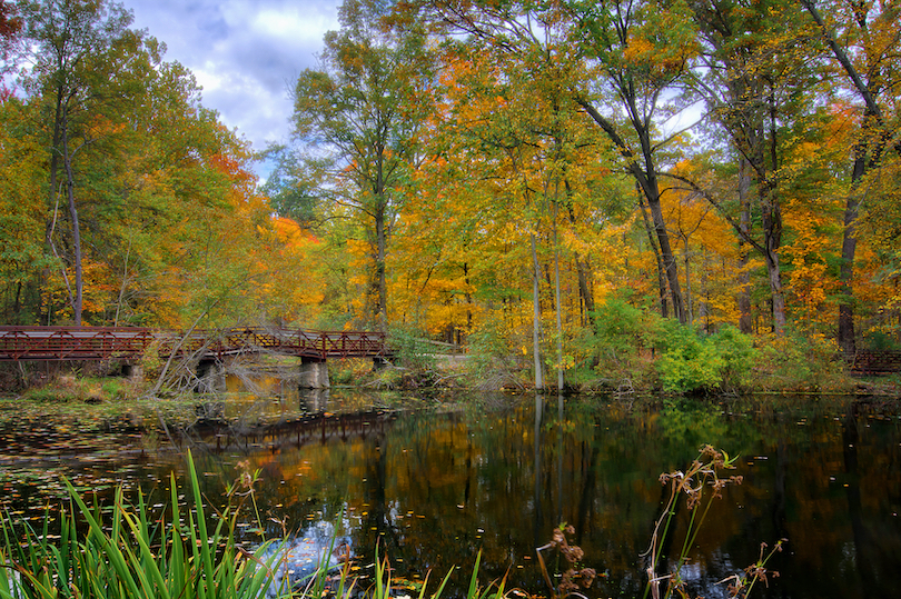 Oak Openings Preserve