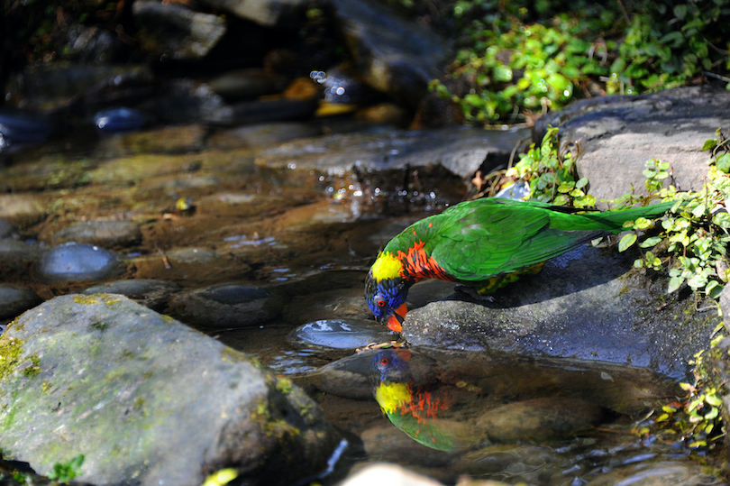 Riverbanks Zoo and Botanical Garden