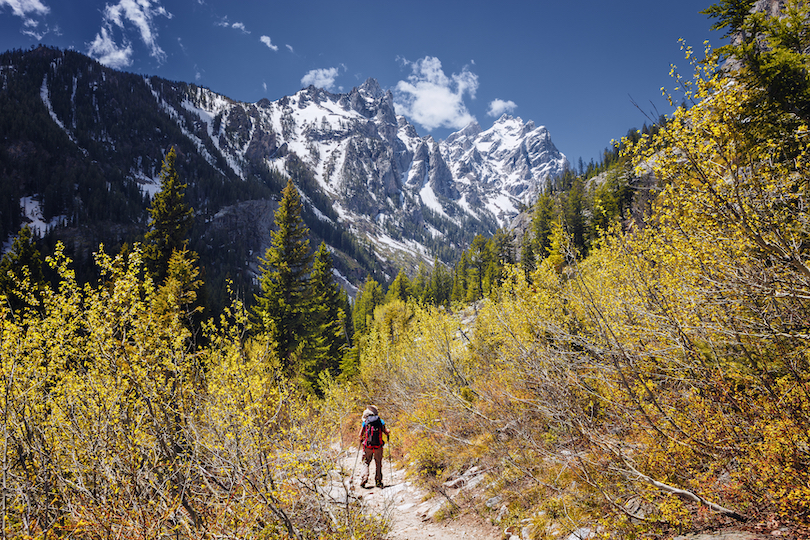 Cascade Canyon Trail