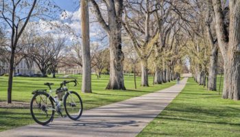 Colorado State University