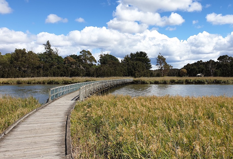 Tamar Island Wetlands