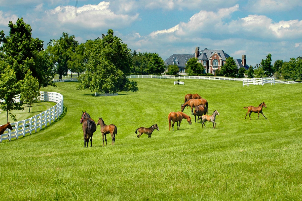 Lexington