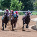 Best Things to do in Lexington, KY