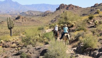 Things to Do in Scottsdale, AZ