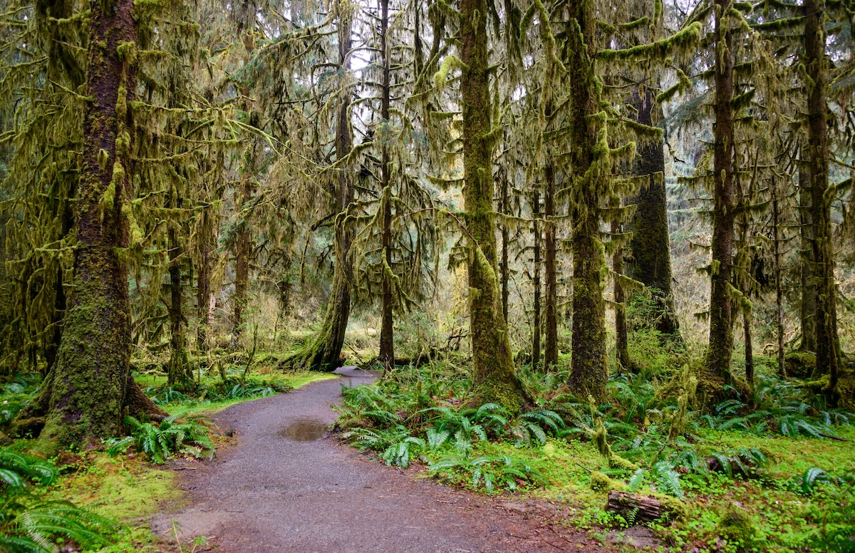 Olympic National Park