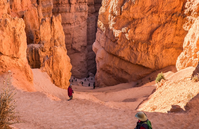 Navajo Loop Trail