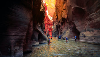 Things to Do in Zion National Park