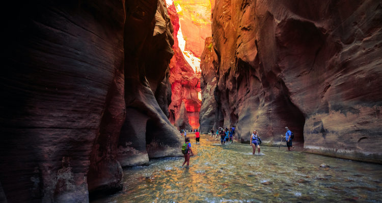 Things to Do in Zion National Park