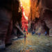 Things to Do in Zion National Park