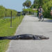 Things to do in Everglades National Park