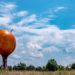 Things to Do in Spartanburg, SC