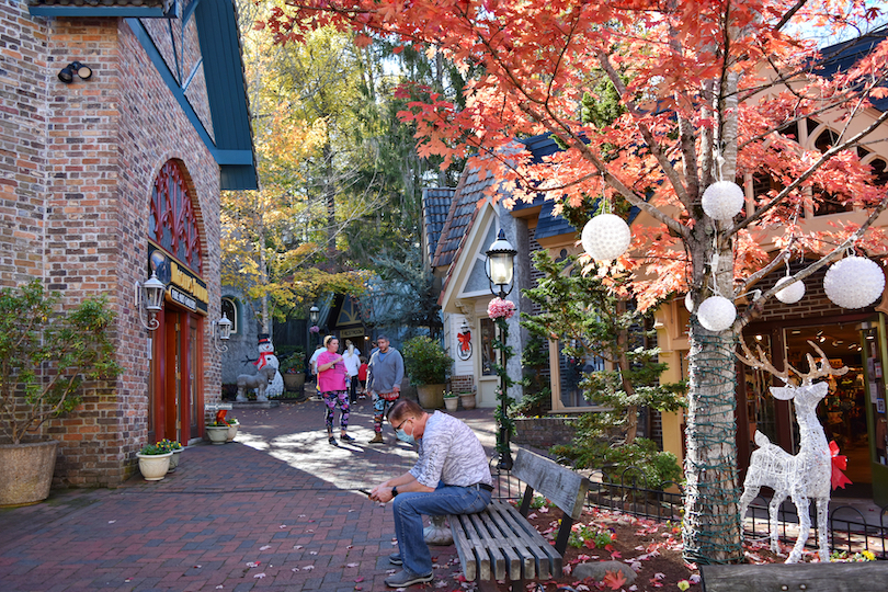 The Village Shops