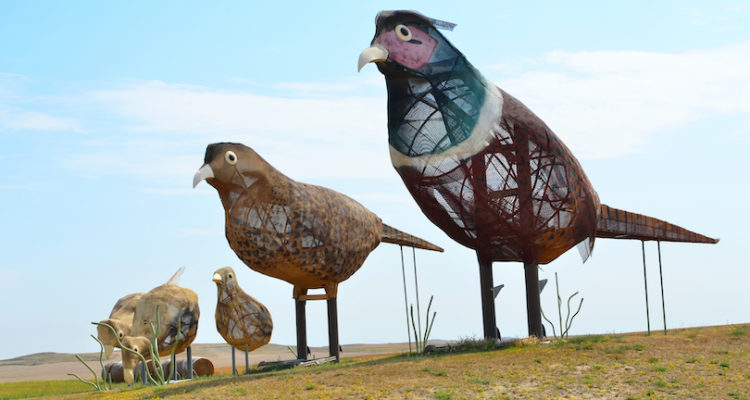 Things to do in North Dakota