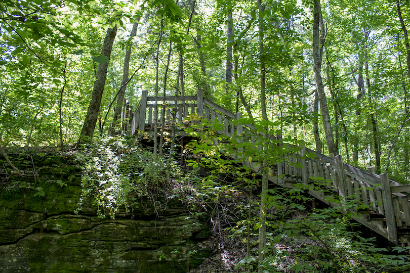 Rock Bridge Memorial State Park