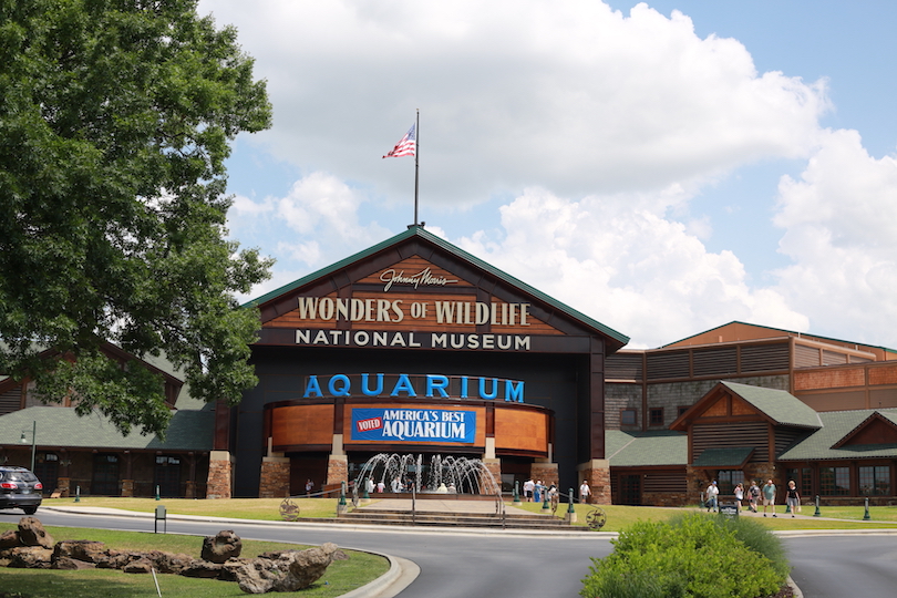 Wonders of Wildlife Museum & Aquarium