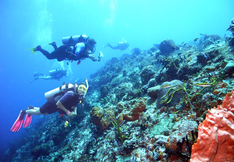 Go Snorkeling or Scuba Diving