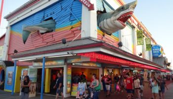 Things to Do in Ocean City, MD