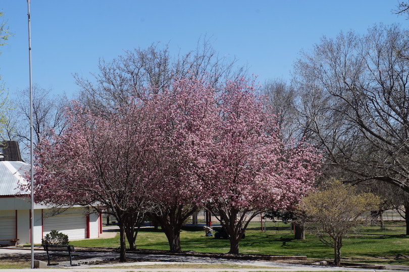 Spring River Park and Zoo