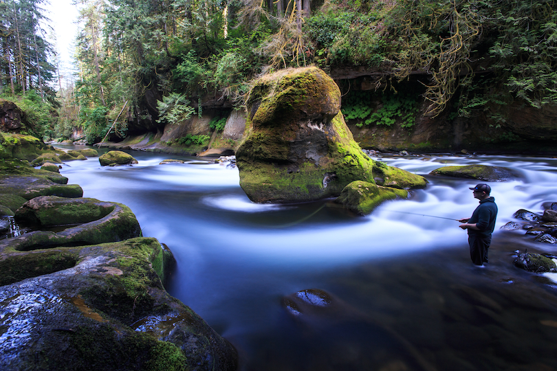 Flaming Geyser State Park