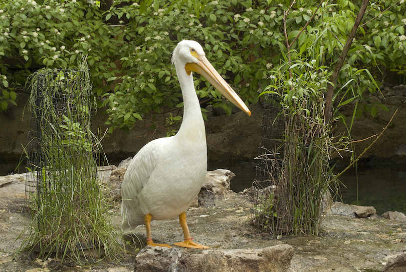 Idaho Falls Zoo