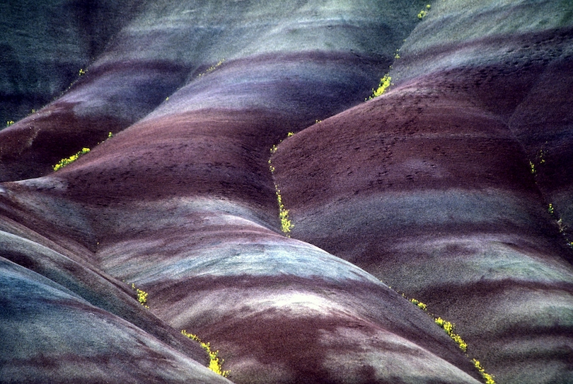 John Day Fossil Beds