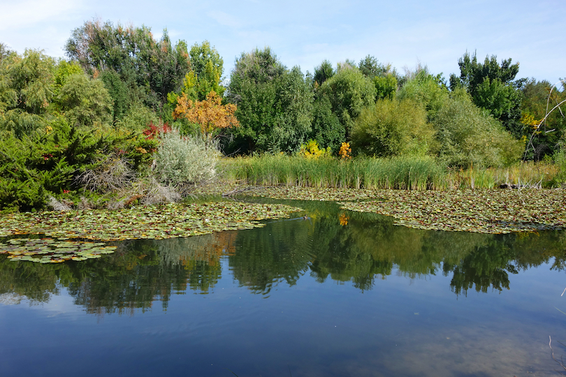 Kathryn Albertson Park