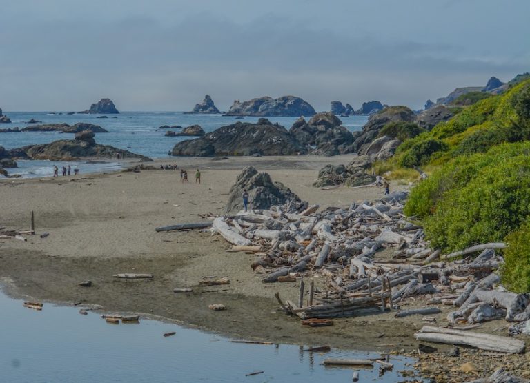 Lone Ranch Beach 12 Wildly Beautiful Beaches in Oregon (+Map) - Touropia