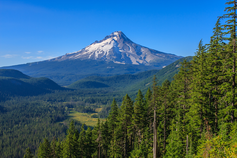 Mount Hood National Forest