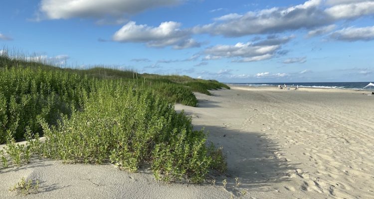 Best Beaches in North Carolina