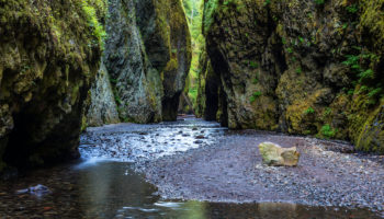 Best Things to Do in Oregon