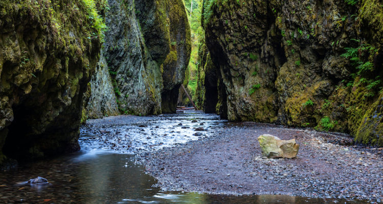 Best Things to Do in Oregon