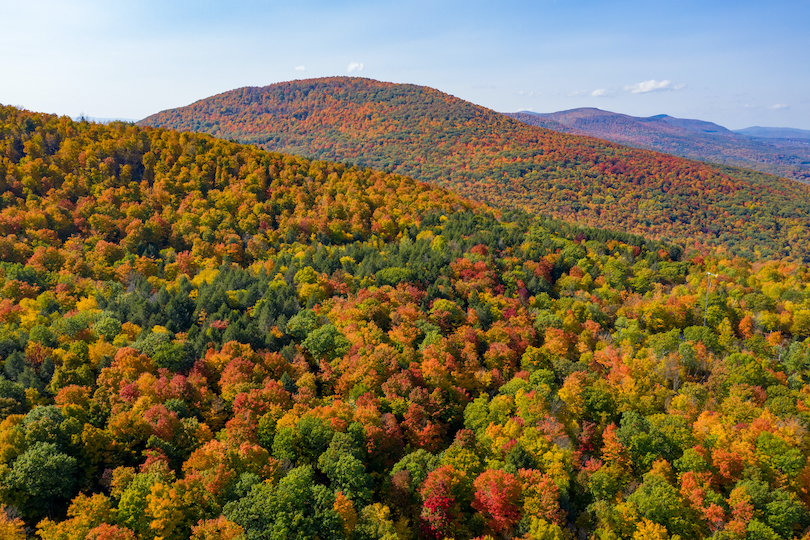 The Catskills