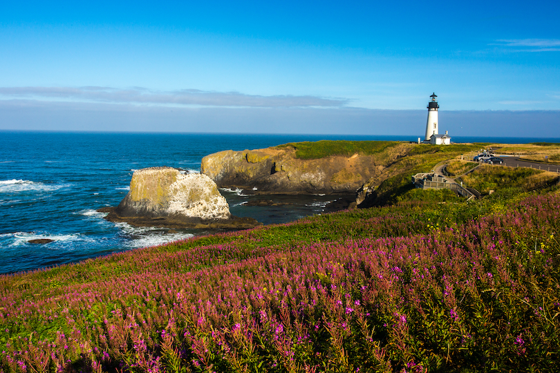 Yaquina Head