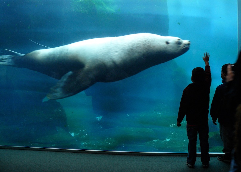 Alaska SeaLife Center