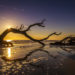 Driftwood Beach