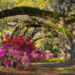 Best Things to Do in South Carolina
