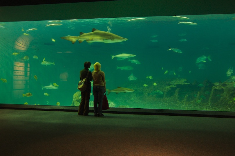 North Carolina Aquariums