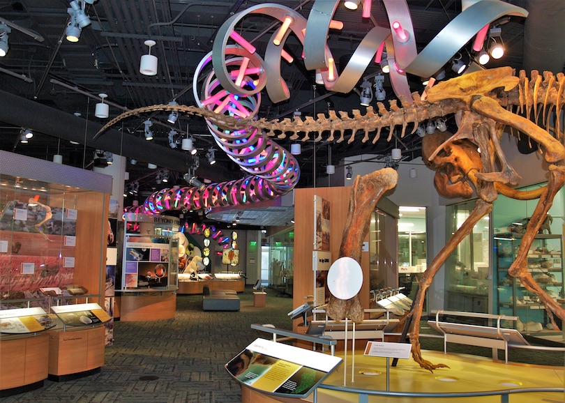 North Carolina Museum of Natural Sciences