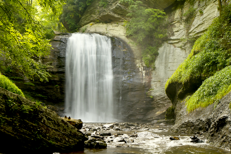 Pisgah National Forest