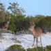 Things to do in Panama City Beach, Florida