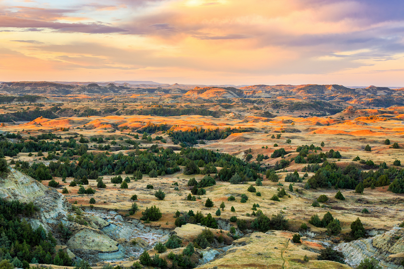 Theodore Roosevelt National Park