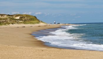Best Beaches in Delaware