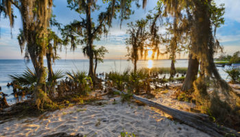 Best Beaches in Louisiana