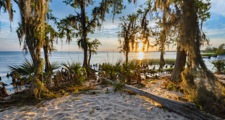 Best Beaches in Louisiana