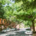 Best Cities in Pennsylvania to Live and Visit