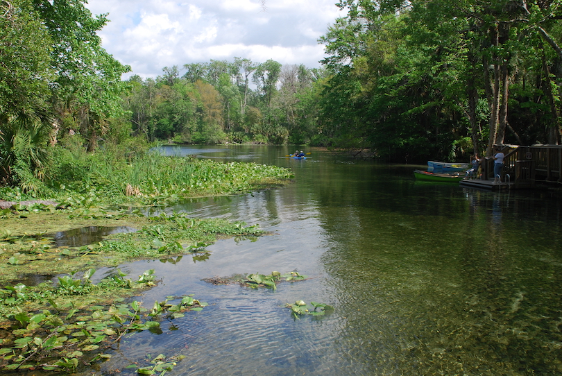 Wekiwa Springs State Park