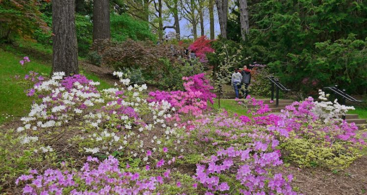 Best Things to do in Rochester, NY