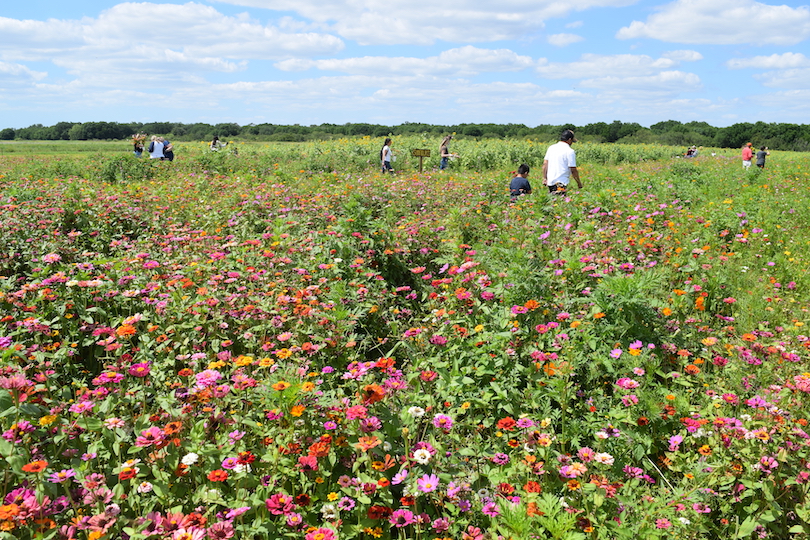 Hunsader Farms