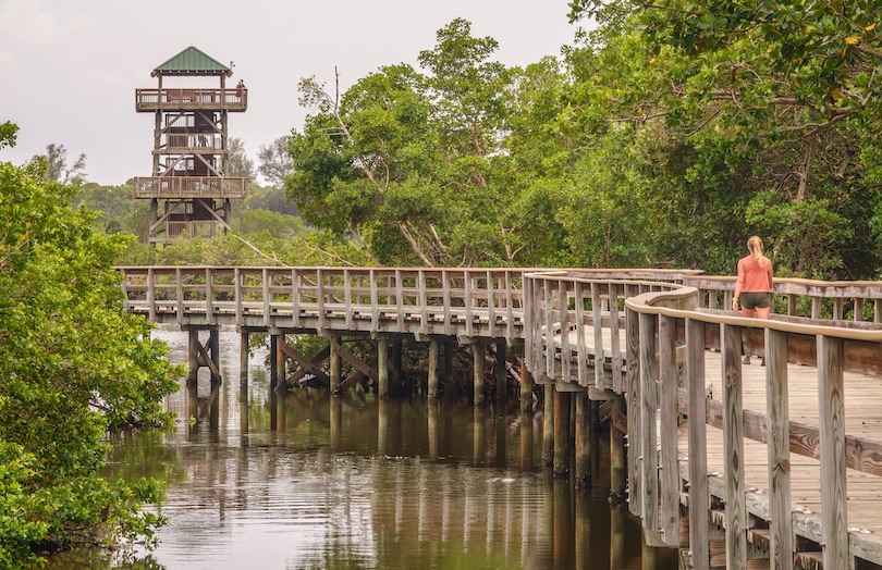 Robinson Nature Preserve